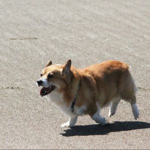 Meet your Posher, Elisha